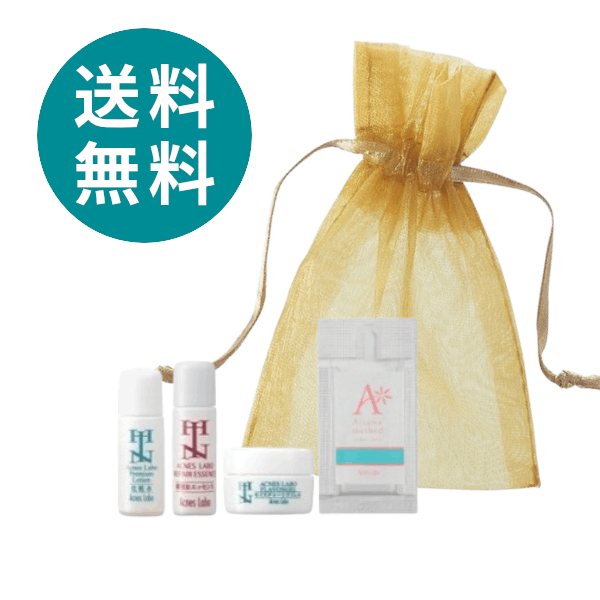 HINアクネスラボ お試しセット